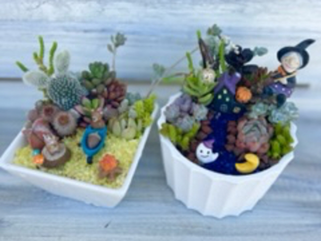 ���냏�[�N�V���b�v�񂹐A���̌�
�D���Ȋ�ɑ����Ə�����I��ŏ����Ȑ��E����낤�I_���݂���Garden