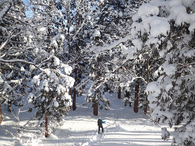 �X�m�[�V���[�̌�_���Ă� �X�Ɛ��ӂ̋����|�|��