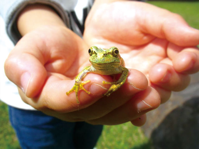 �������ӂꂠ���̌�_���Ă� �X�Ɛ��ӂ̋����|�|��