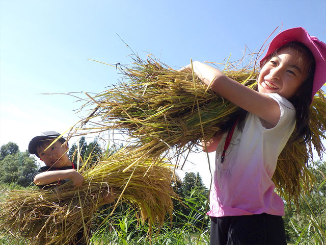 �c���ۃC�x���g�F���̌�_���Ă� �X�Ɛ��ӂ̋����|�|��