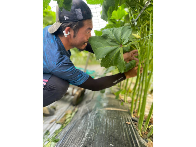 ����Ă��t�@�[��