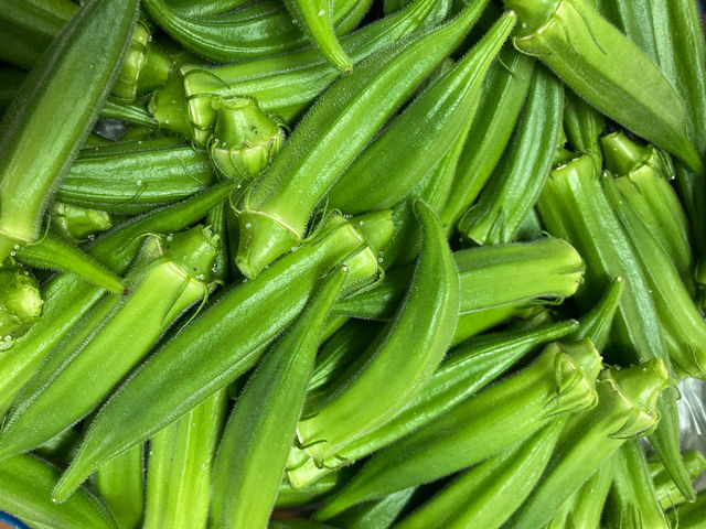 ����Ă��t�@�[��