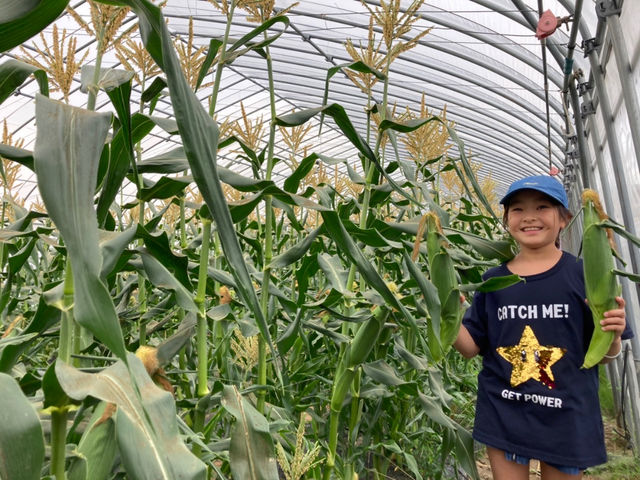 ����Ă��t�@�[��