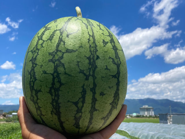 ����Ă��t�@�[��