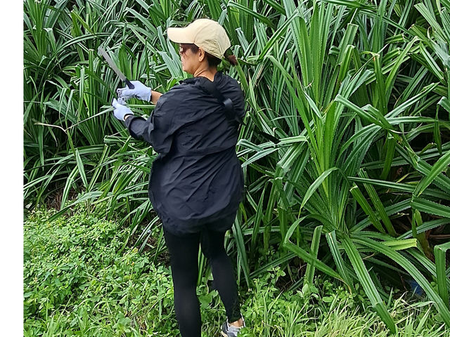 �����񊠂�͉ߍ�_������H�[