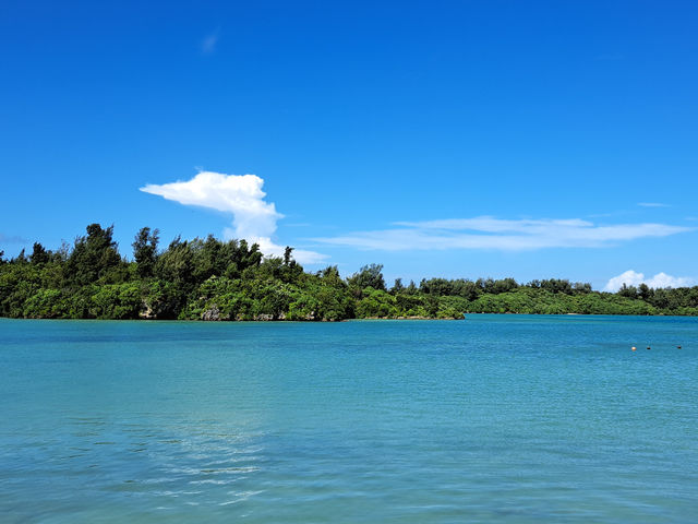 �H�[�̖ڂ̑O�͊C�ł�_������H�[