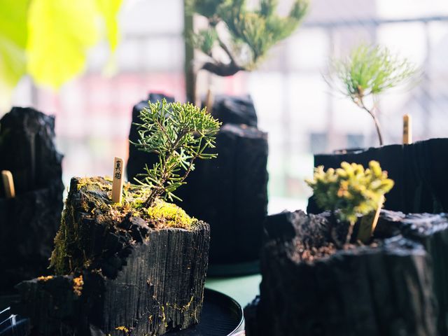 ���R�̌�GreenGiftOutdoorsNagano