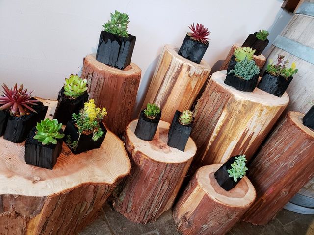 ���R�̌�GreenGiftOutdoorsNagano