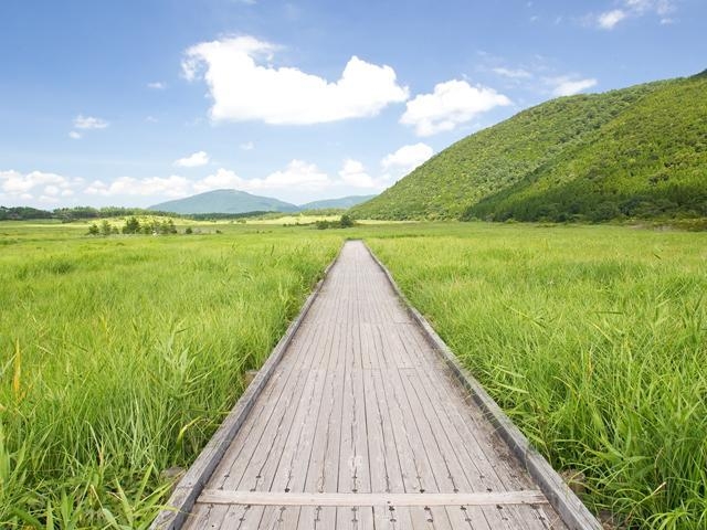 ���h�����イ��������