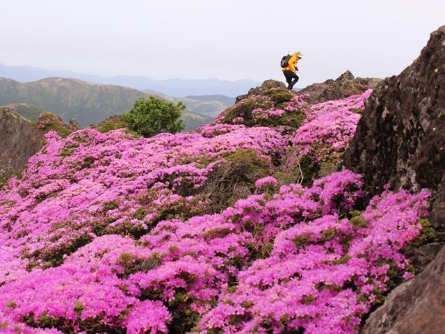 ���h�����イ��������