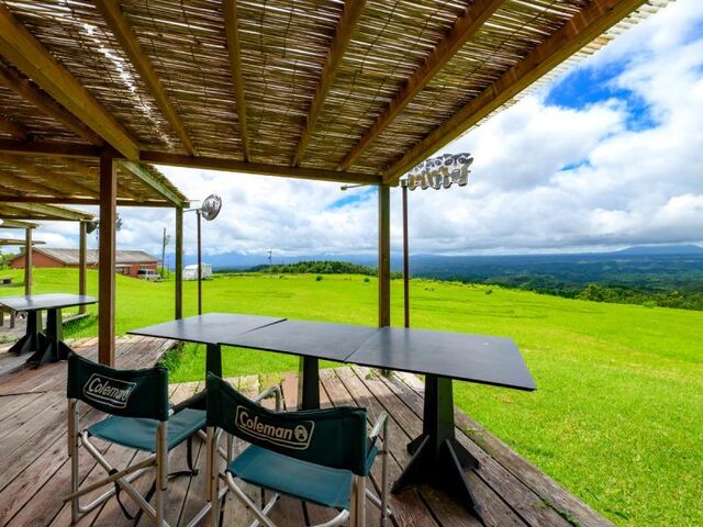 �����イ���� �n�r�[����