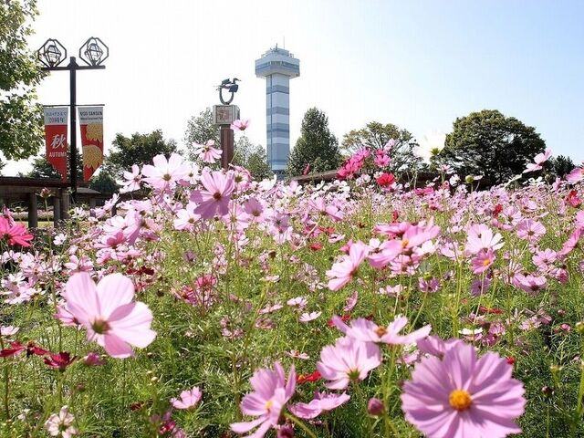 �ؑ]�O������u�H�̉ԕ���v