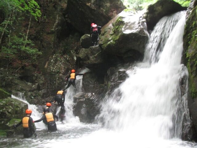 �}�E���e�����C�t��˂̎ʐ^1