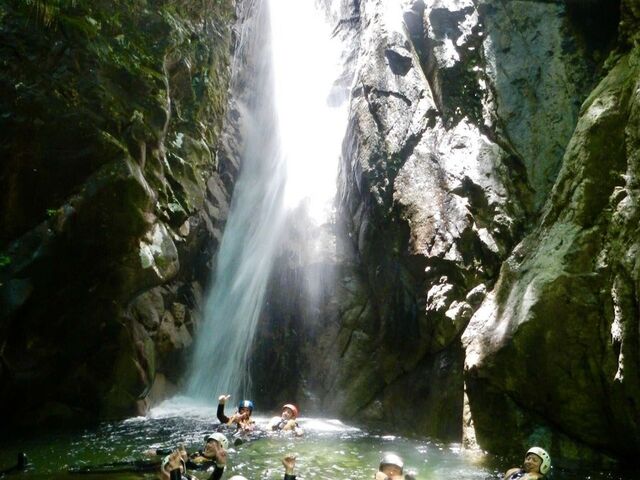 �}�E���e�����C�t���