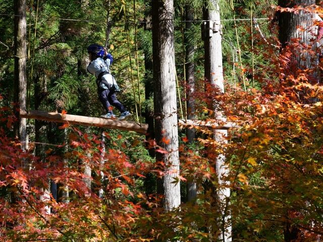 �}�E���e�����C�t���