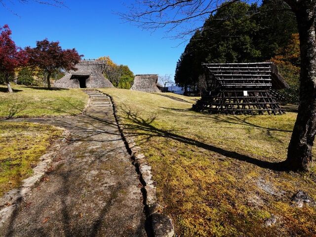 ���y�L�̋u�j�Ռ����̎ʐ^1