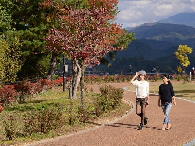 �A���v�X�W�]�����u�X�J�C�p�[�N�v