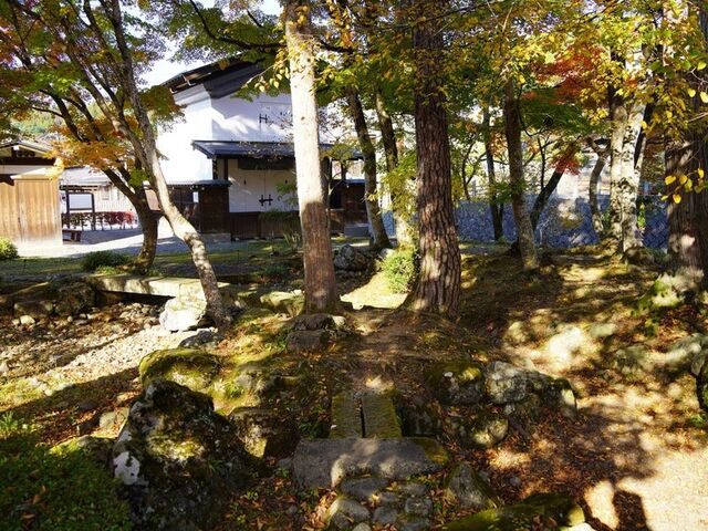 ���ʓ@�j�Ռ���