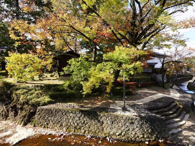 ���ʓ@�j�Ռ���