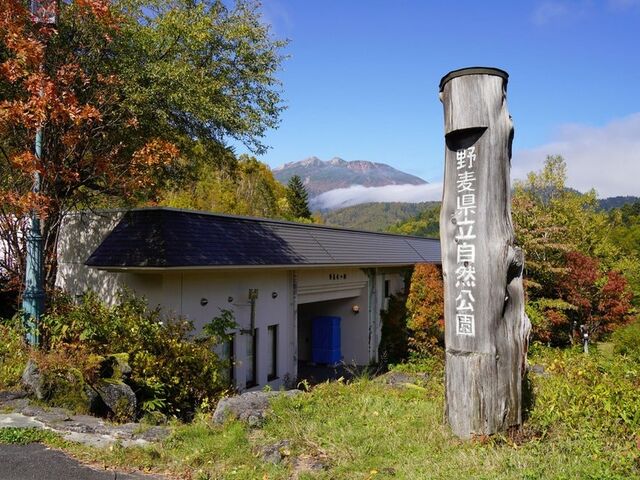 �씞������������