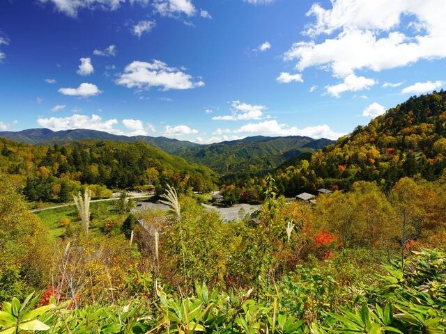 �씞������������