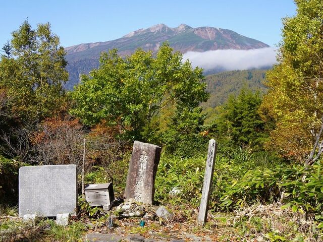 �씞������������