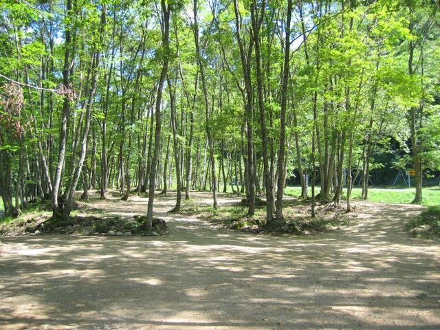 �F�J�̗��L�����v��