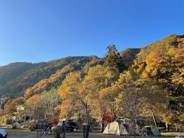 ��ˍ��R�ނ聕�L�����v����