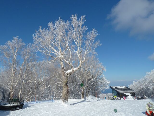 ���َ��уX�m�[�p�[�N