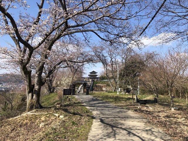 �y�򍂎R���