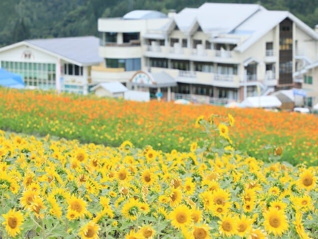 �ق��̂����V��̂Ђ܂�艀