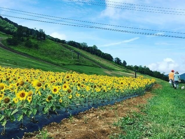 �ق��̂����V��̂Ђ܂�艀