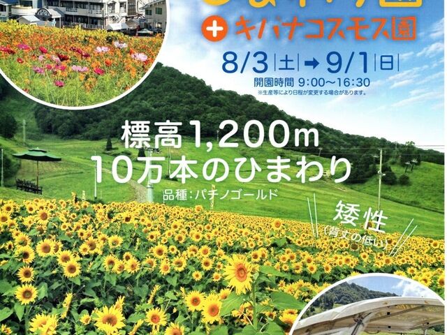 �ق��̂����V��̂Ђ܂�艀