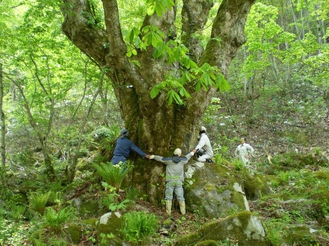 ����̋��� �����Ȃ̎ʐ^1