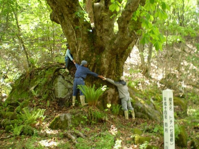 ����̋��� ������