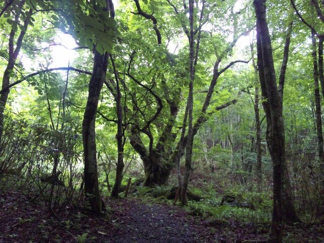 ����̋��� ������