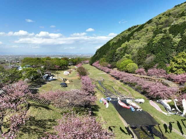 �H���J���񂾂�����L�����v��