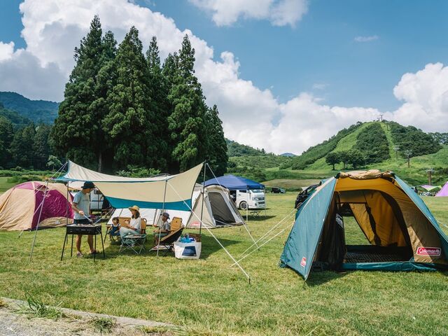 �ˎ뉷��@���~�遚�L�����v��̎ʐ^1