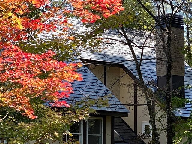 �H�[�S�i�B\n���ܖ�̐����A�k�A���v�X�R�[�ʑ��n���ɂ���܂��B_�K���X�̌��@�V�ѐS