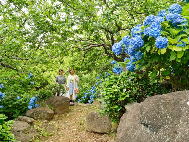 �}�g�R�����ĂȂ���