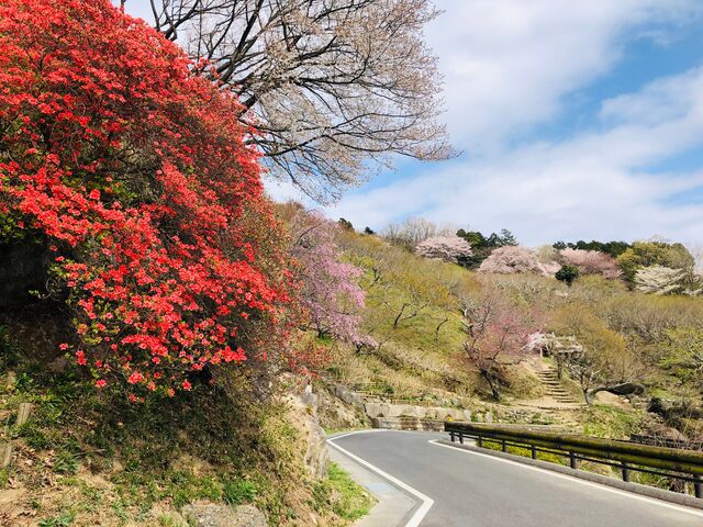 �}�g�R�����ĂȂ���