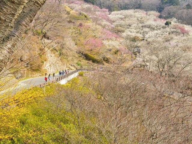 �}�g�R�����ĂȂ���