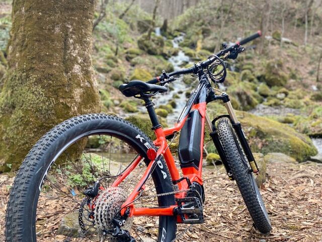 �������k���̃����^�T�C�N���uE-Bike�v�̎ʐ^1