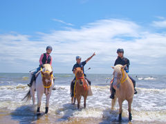 海の乗馬倶楽部エルカバージョの写真1