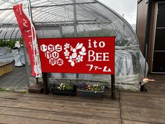 itoBEE�t�@�[���̎ʐ^1