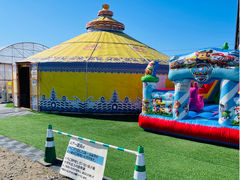 ���������̃x���[�^�E���̎ʐ^1