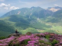 ���h�����イ���������̎ʐ^1