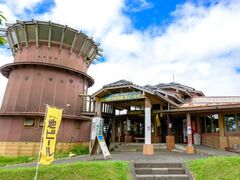 �����イ���� �n�r�[�����̎ʐ^1