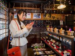 �������̎ʐ^1