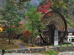 �吅�Ԃ̋��̎ʐ^1